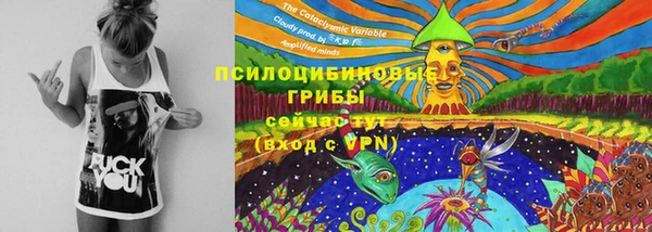 бошки Арсеньев