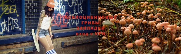 spice Армянск